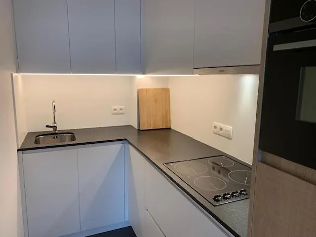 Appartement Mariakerke-Bad Zeezicht Ostende